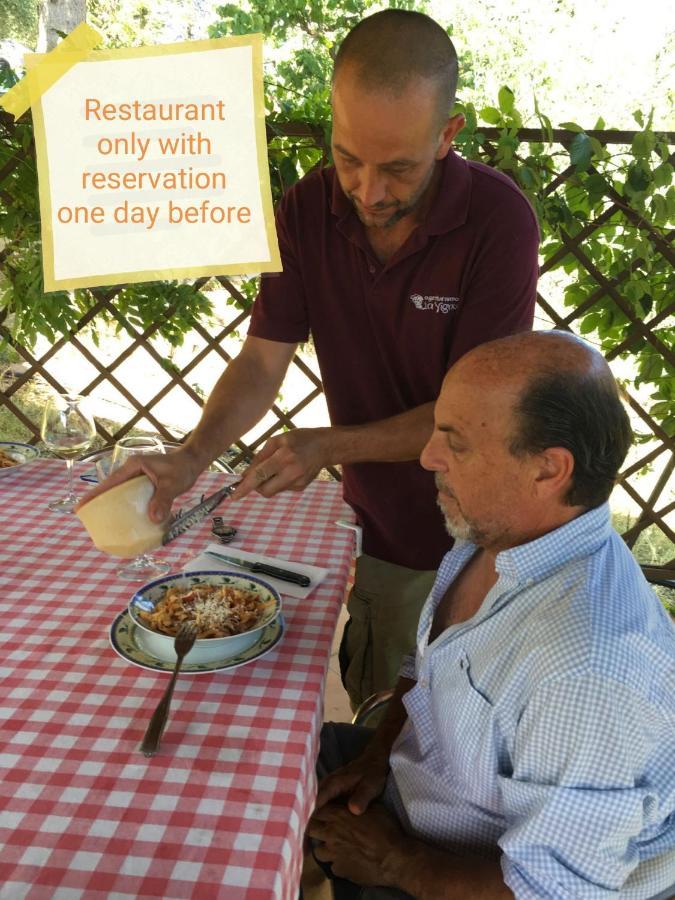 Agriturismo "Crocino In Chianti" ガイオーレ・イン・キアンティ エクステリア 写真