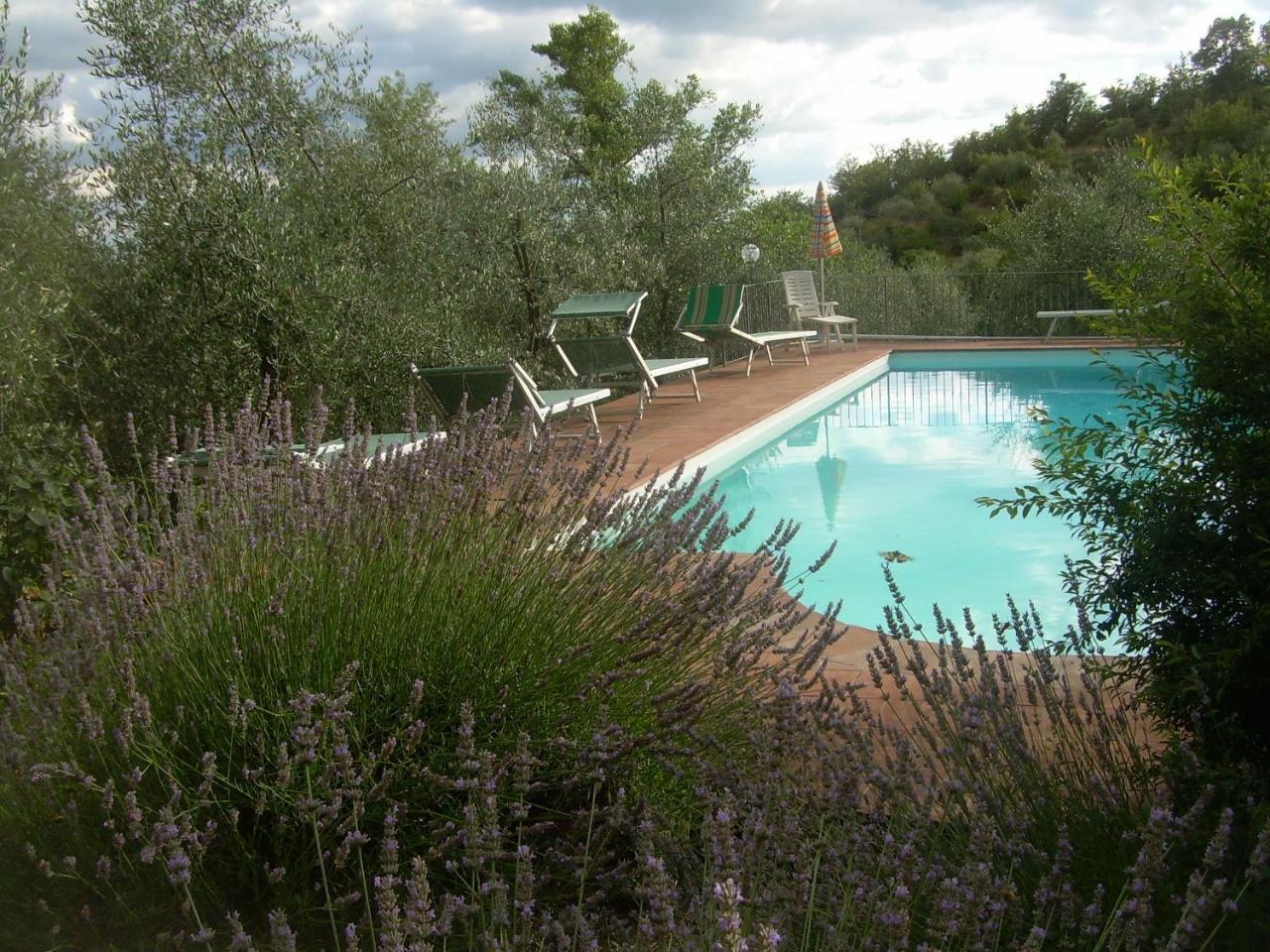 Agriturismo "Crocino In Chianti" ガイオーレ・イン・キアンティ エクステリア 写真