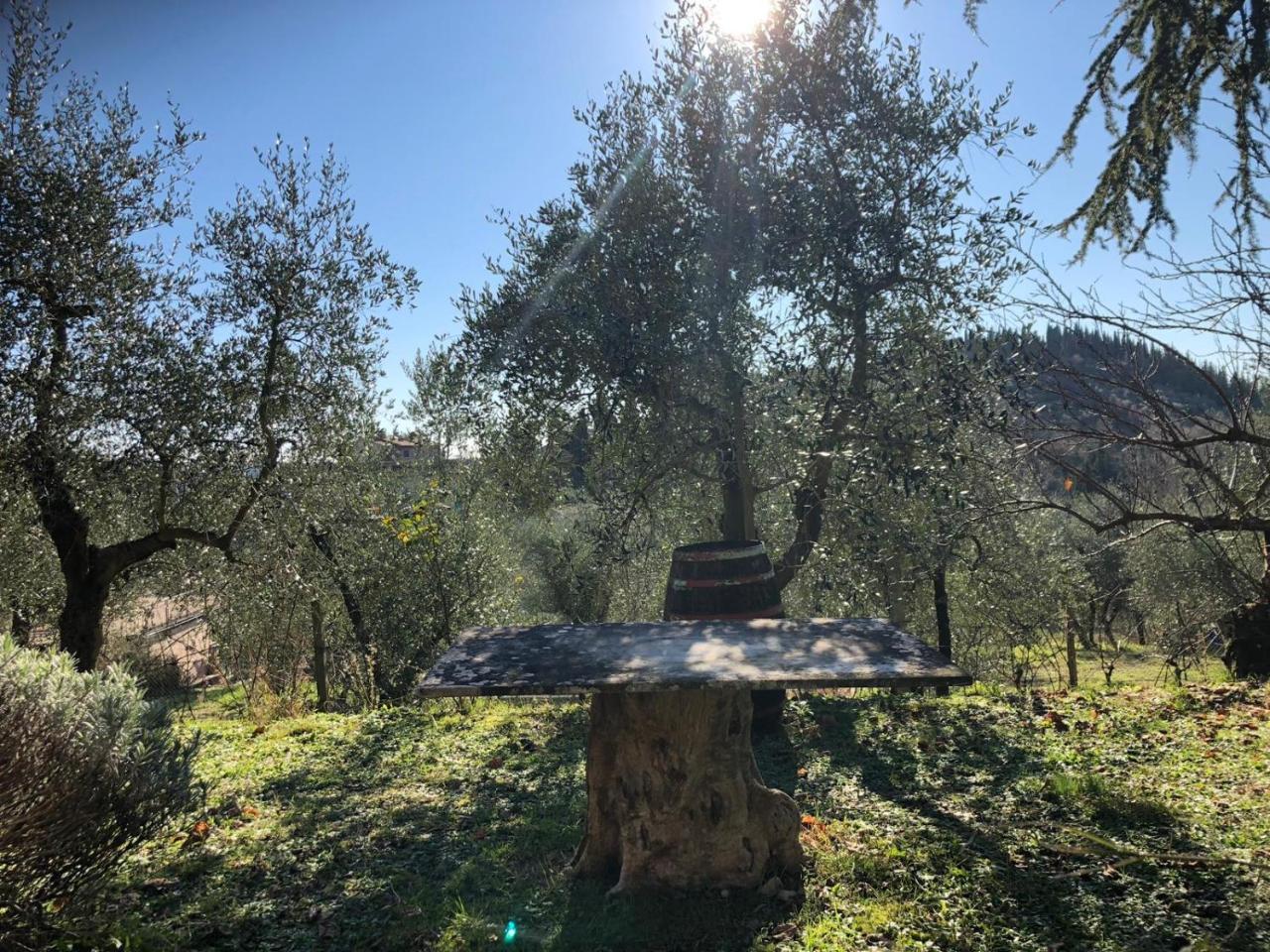 Agriturismo "Crocino In Chianti" ガイオーレ・イン・キアンティ エクステリア 写真
