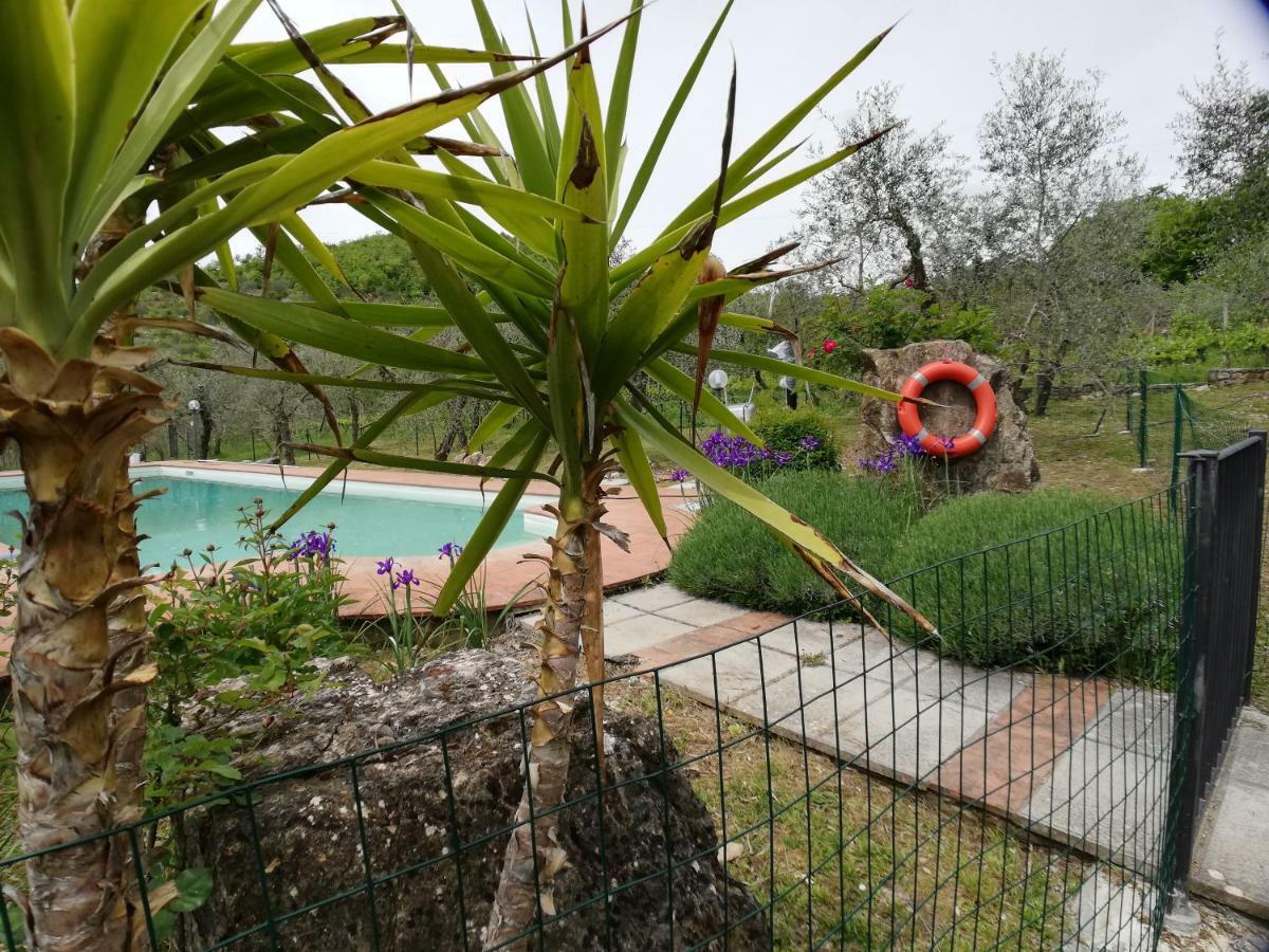 Agriturismo "Crocino In Chianti" ガイオーレ・イン・キアンティ エクステリア 写真
