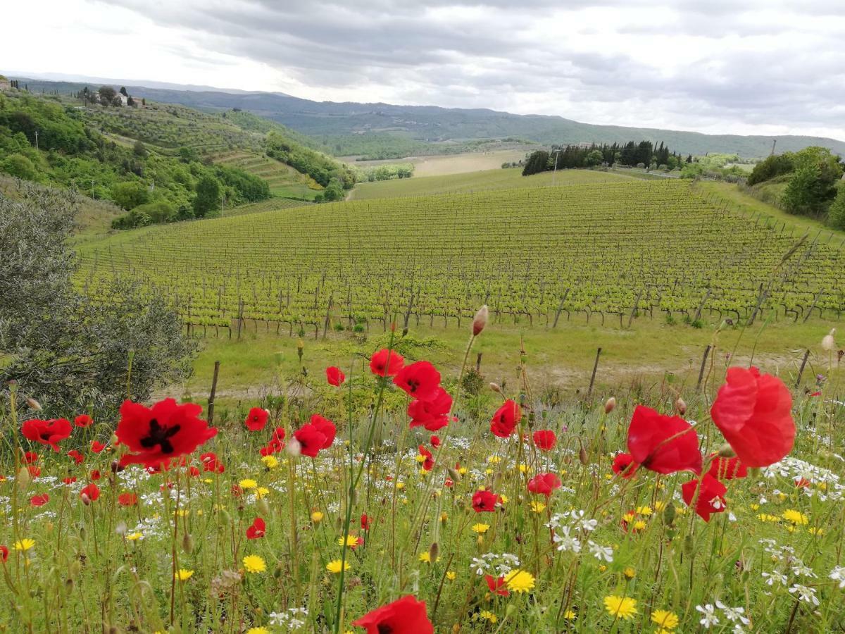Agriturismo "Crocino In Chianti" ガイオーレ・イン・キアンティ エクステリア 写真