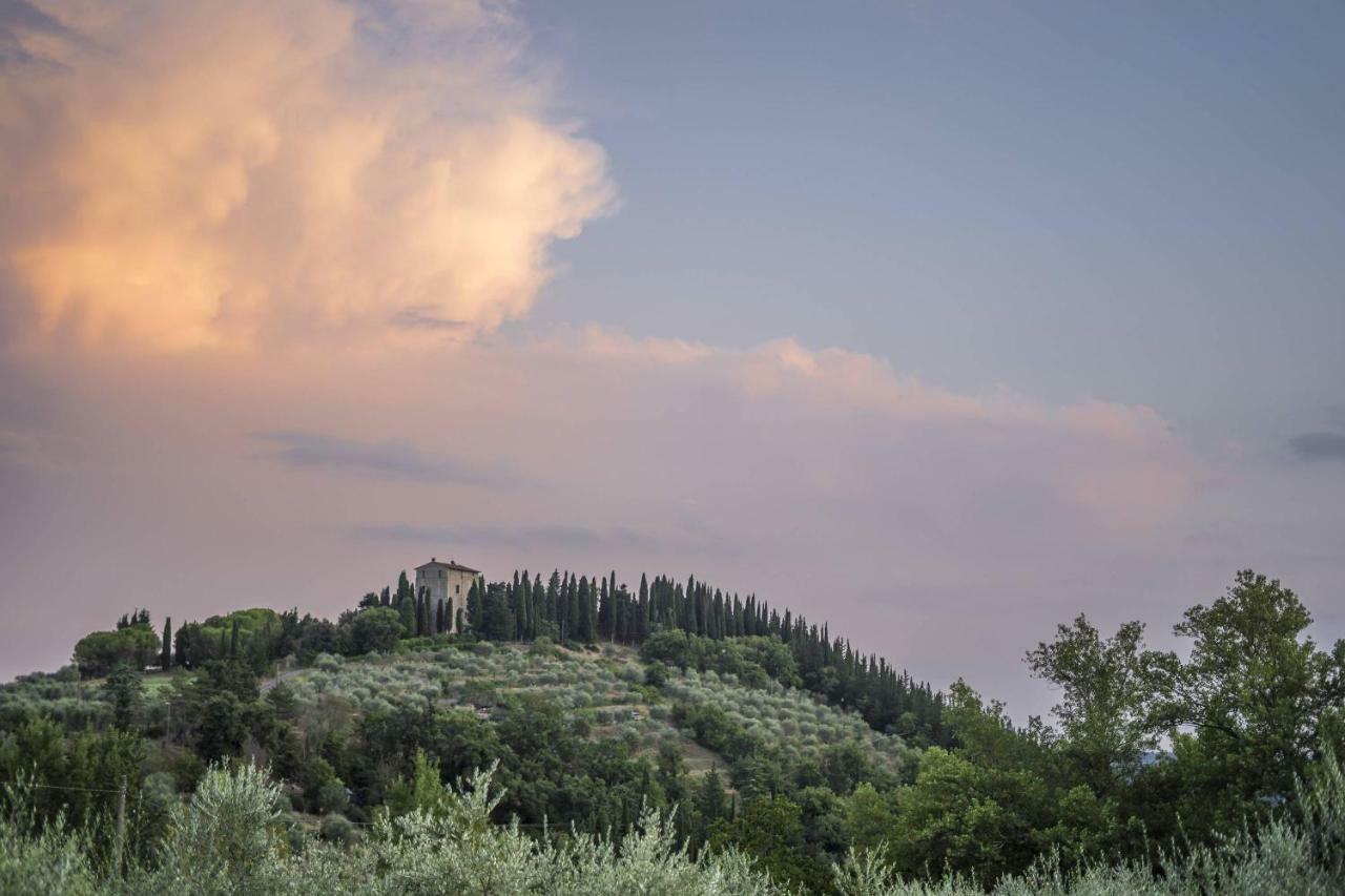 Agriturismo "Crocino In Chianti" ガイオーレ・イン・キアンティ エクステリア 写真
